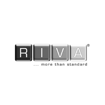 RIVA RD1000 1 channel quad display D1 network video decoder