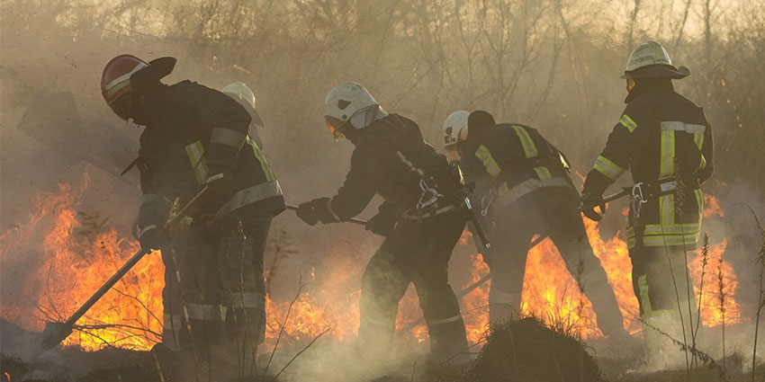 Dispatchers around the West have access to video from the cameras, and fire management can move the camera views through their iPhones.