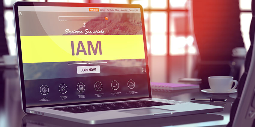 Identity and Access Management solutions help to deliver secure access across the entire estate