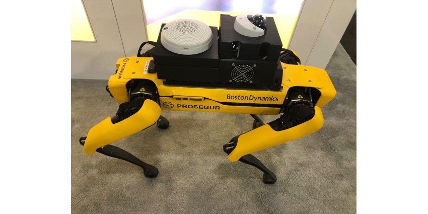 an Azena app is installed in a camera mounted on ‘Yellow,’ the ‘robot dog’ manufactured by Boston Dynamics and configured for security applications by Prosegur