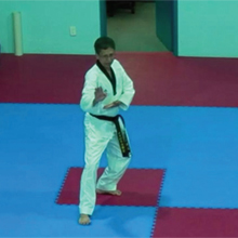 Bosch FlexiDome cameras help Master Seung teach his students Taekwondo