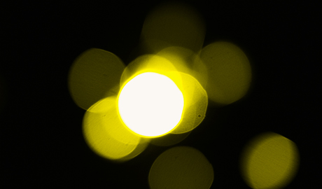 The colder the climate of the area, the more difficulty the HID bulbs have getting started