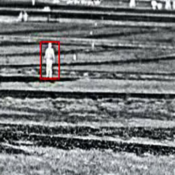 Thermal cameras make it easier to detect motion because you are eliminating much of the detail and only emphasising temperature “colors”