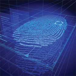 Biometrics is the only solution for authenticating 