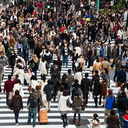 Hardening a soft target begins with a security assessment that identifies risks