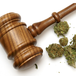 Complex regulations have largely discouraged banks from serving the industry.