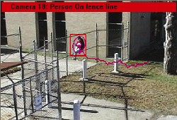 Perimeter protection systems provide back-up to fences, external pirs, seismic systems etc., allowing the user to identify specific areas where intruders will be identified