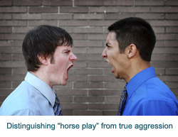 Distinguishing horse play from true aggression