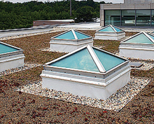 About 12,000 square feet of green roof absorbs precipitation, which reduces runoff, insulates the building, and extends the life of the roof