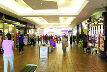 Decision to Select DNA Security