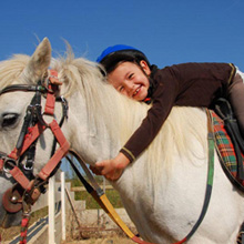 Systems integrator Global Cyber Access installed and educated the staff how to work the MOBOTIX cameras