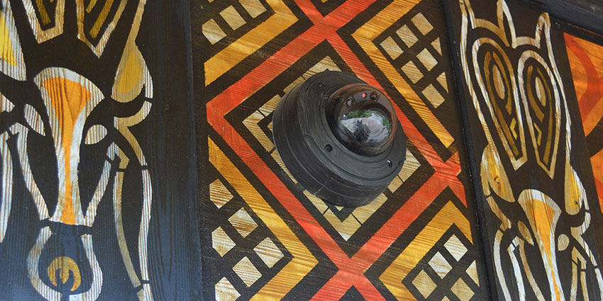 State-of-the-art IP camera system at Chester Zoo UK