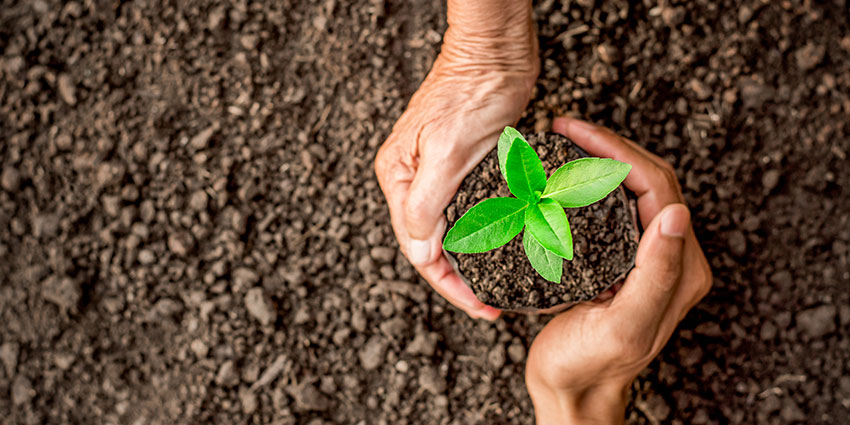 ethical factors to consider with vendor selection