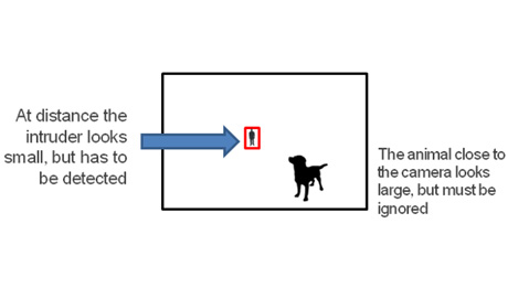 A small animal near the camera will look much larger than a man at 300 meters away