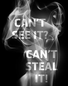 Security Smoke can work both independently of and in harmony with your existing security installation 