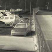 perfect nightime vision in complete darkness