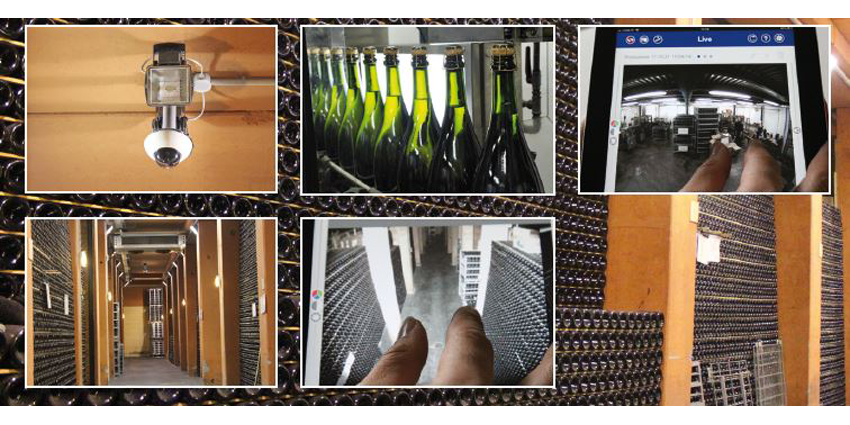 MOBOTIX HD video guards Le Marchesine winery in Italy