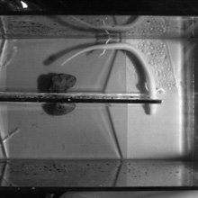 Arecont Vision\'s AV5105DN is a 5 megapixel day/night camera providing 2,592 x 1,944-pixel images at 9 fps