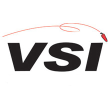 Viscount Systems will release its fourth quarter and full year 2014 financial results after the close of the U.S. financial markets