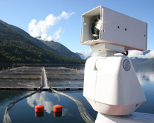 ioimage have announced a new application of their video analytics solutions by Trusal S.A  in Chile to protect its salmon farms