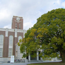 Hikvision DS-6101HFI-IP’s improved H.264 compression algorithm greatly minimises video-stream data