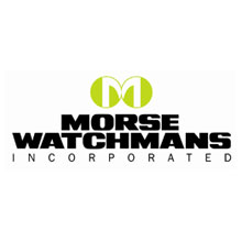 The whitepaper introduces key control system solutions as an integral component of an overall security plan