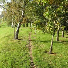 OmniTrax is based on a volumetric electromagnetic proven sensor 