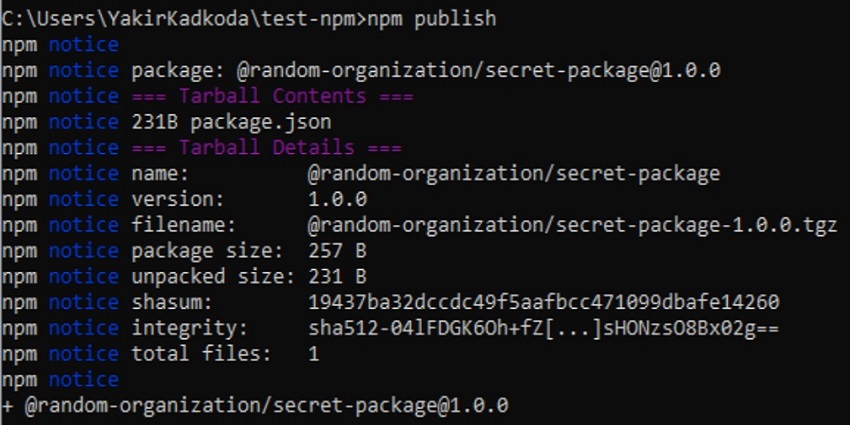private npm package