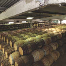 Panasonic IP security products help Edrington Group maintain health and safety standards