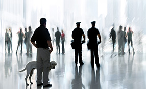 5 basics for implementing effective physical security