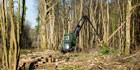 StaySafe smartphone app helps monitor forestry contractor Coombes's employees via GPS and alerts