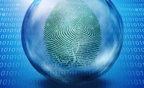 “Soft” biometrics among the next wave of innovation under study