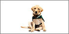 IndigoVision HD security solution helps monitor guide dogs in Australia