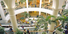 Shopping centre migrates to digital CCTV with IndigoVision IP video technology