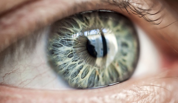 7 things you need to know about iris recognition systems