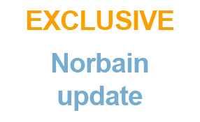 Norbain: piecing together the sale