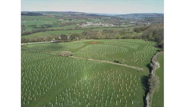Dardan Security partners with Make It Wild to annually offset 480 tonnes of CO2e by planting trees in Summerbridge