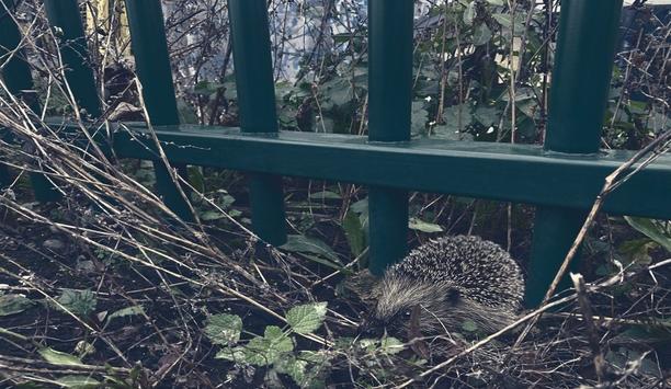 Jacksons Fencing introduces Hedgehog Havens for hedgehog protection