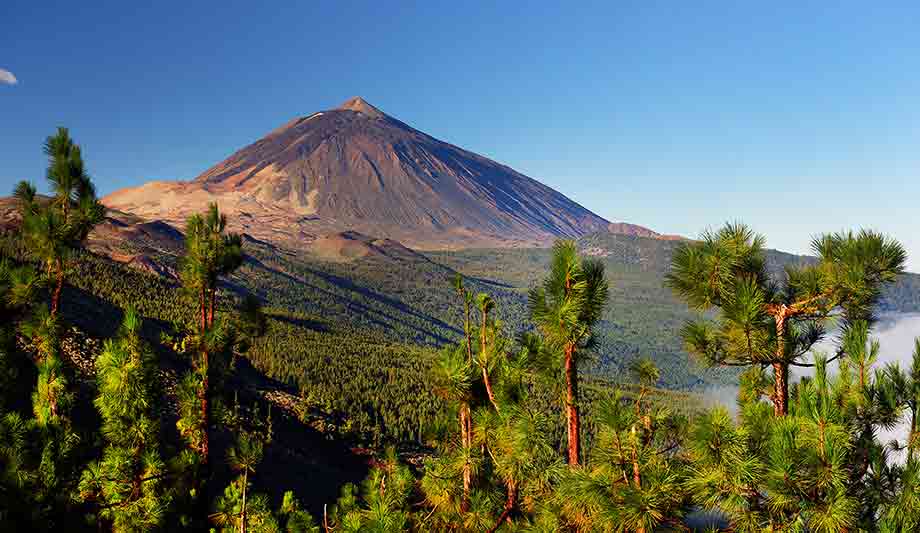 Sepura and Técnicas Competitivas partner to deploy first mission critical LTE network in Europe