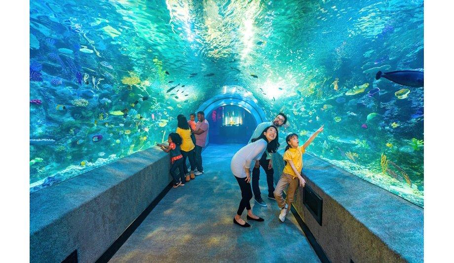 Newport Aquarium uses Net2 to replace traditional locks & keys