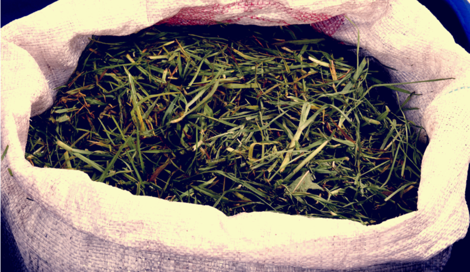 Arecont’s security system installed at Alburtis’ yard waste centre helps reduce illegal dumping