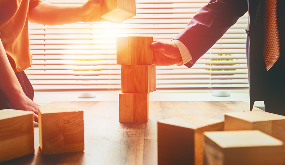 Arecont Vision Costar leadership plans for growth