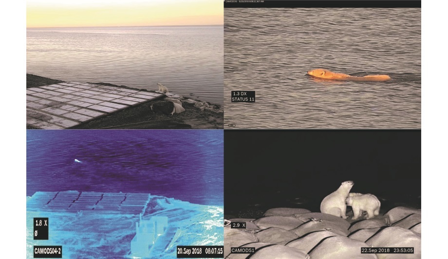 Bosch installs MIC IP fusion 9000i camera at Oooguruk drill site to spot polar bears