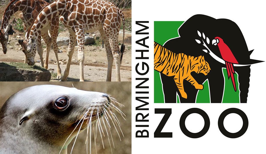 MOBOTIX surveillance cameras enhance security and animal research at Birmingham Zoo, Alabama