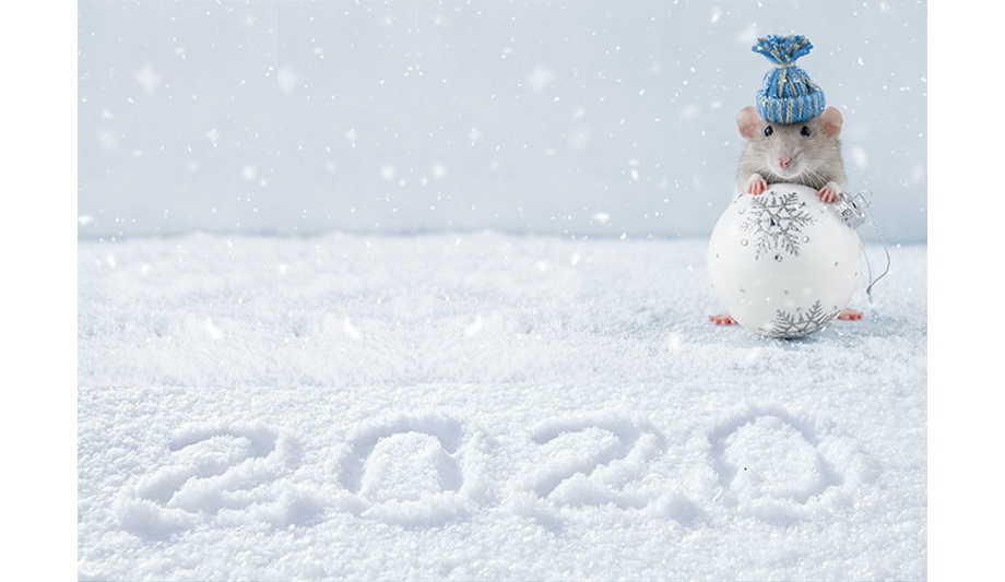 OPTEX EMEA announces important dates for the customers’ pre-Christmas shopping conveniences