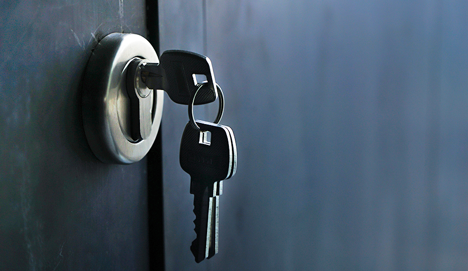 Managing security during unprecedented times of home working