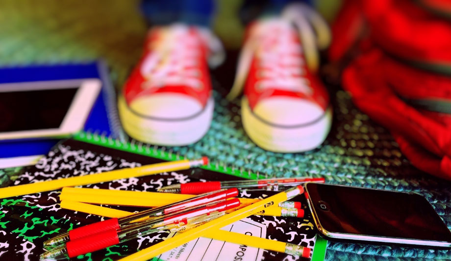 2020 Vision: Guide to protecting schools from the threat of terrorism