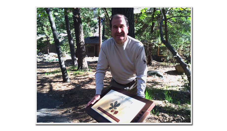 Getting to know Scott Schafer, Chairman-elect of the Security Industry Association