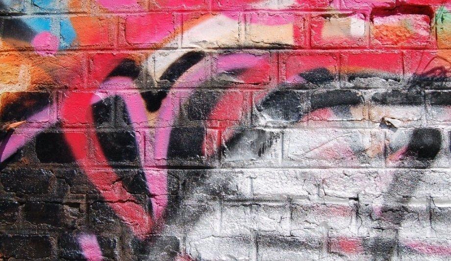 South Carolina neighbourhood helps police to solve a vandalism case with Flock Safety’s licence plate reading camera