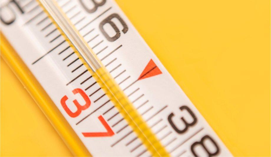 Getting organisations back to work safely with new thermography solutions